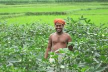 Bolangir
